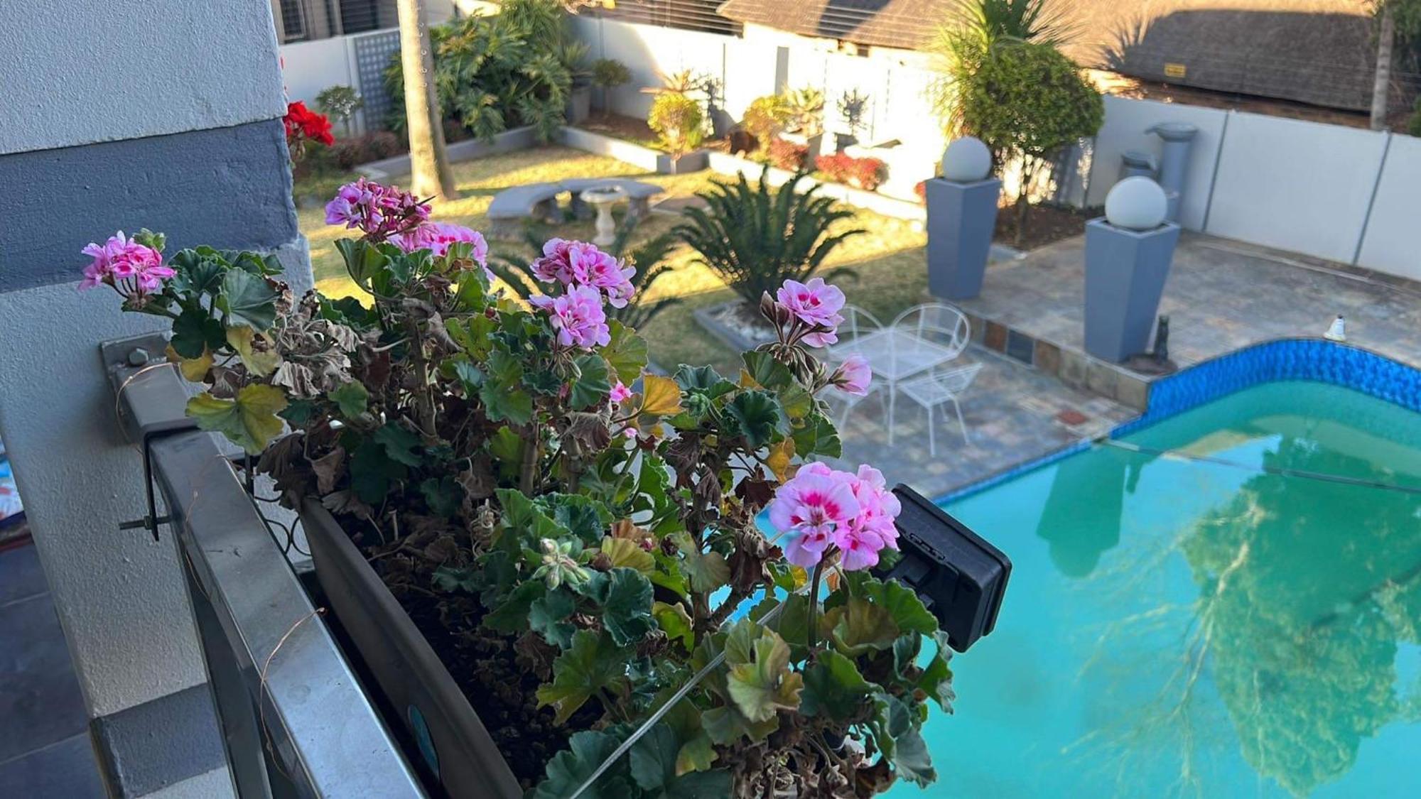 2 Op Terblanche Guesthouse Boksburg Εξωτερικό φωτογραφία